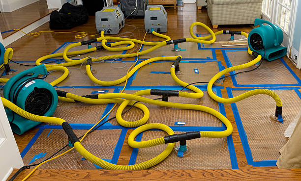 Professional Storm Water Damage Restoration technician working in Eva, TN